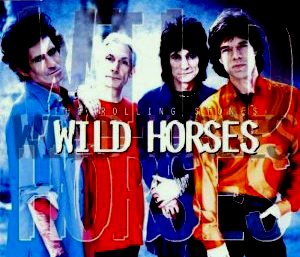 The Wild Horses single from Stripped